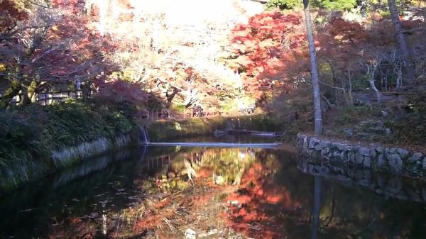 岩屋堂