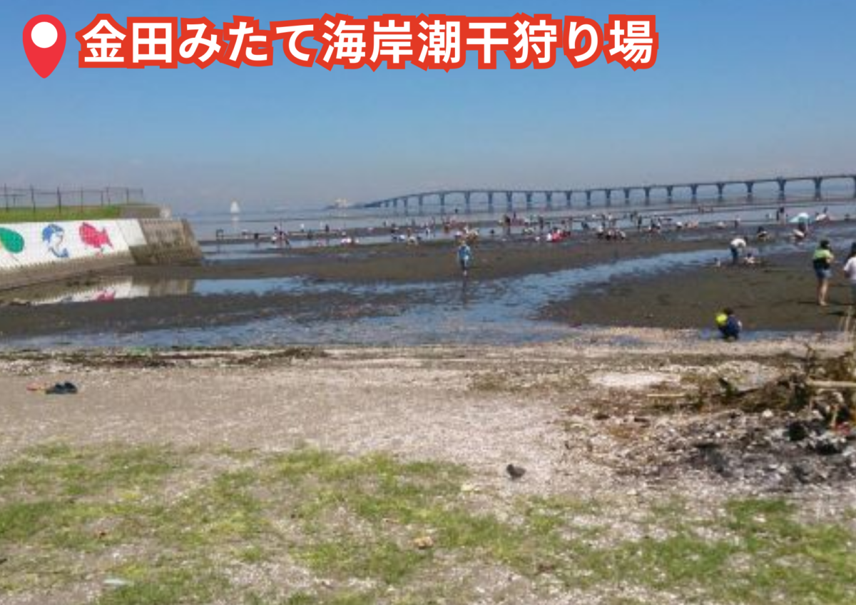 金田みたて海岸潮干狩り場（千葉県・木更津市）BBQスポット