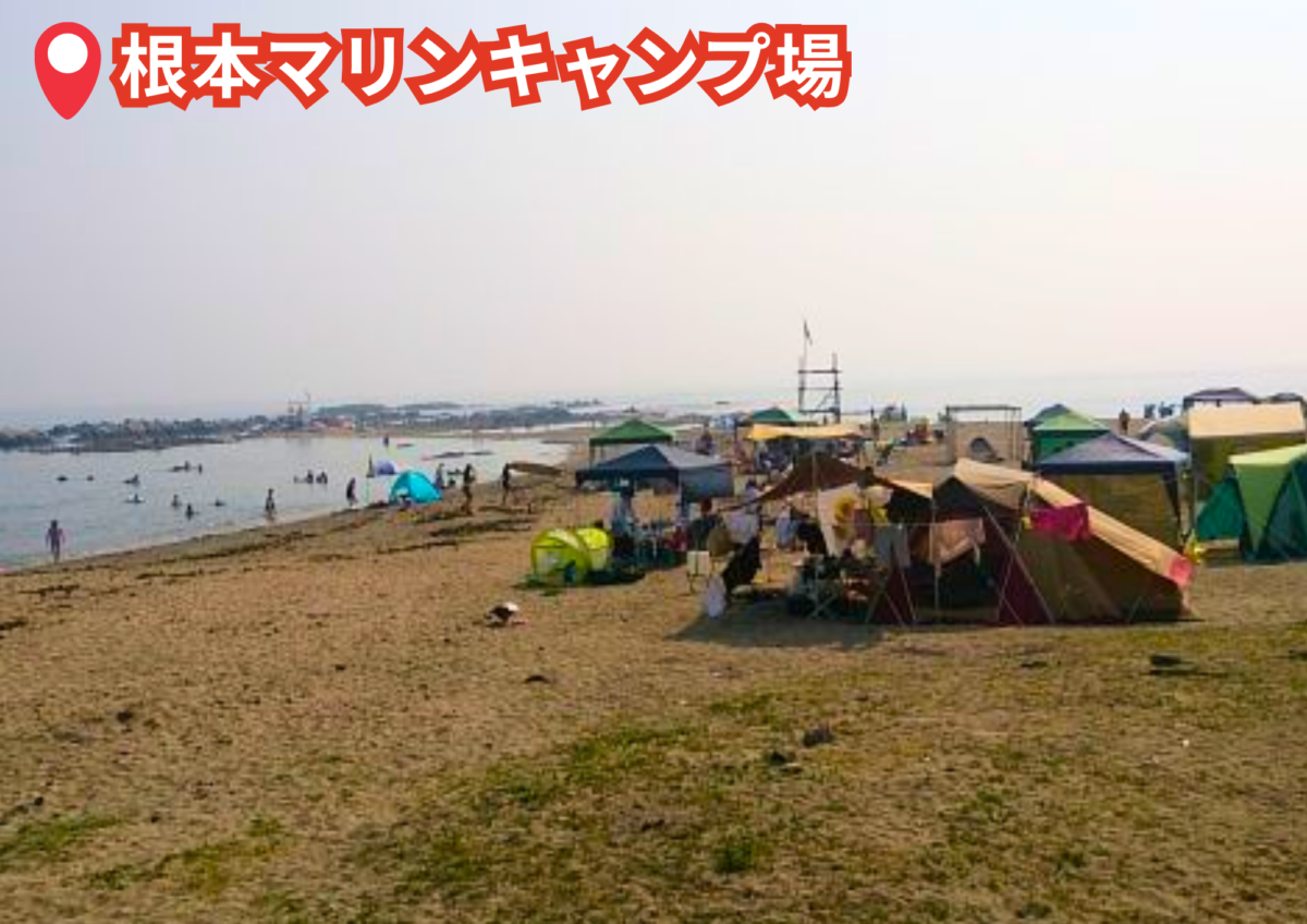 根本マリンキャンプ場（千葉県・南房総市）BBQスポット