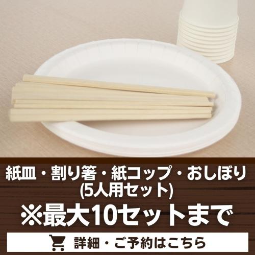紙皿・割り箸・紙コップ・おしぼり(5人用セット)