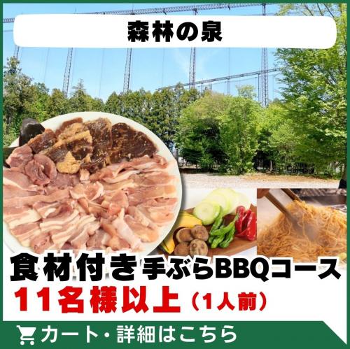 【森林の泉】食材付き手ぶらBBQコース(11名様以上)/