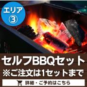 【エリア③】セルフBBQセット※ご注文は1セットに限る