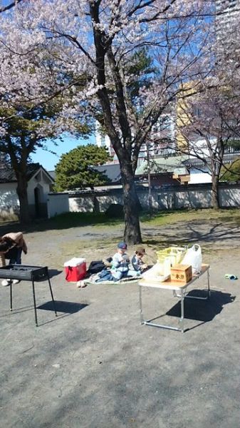 IMG_0461