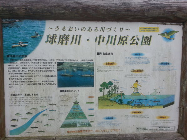 中川原公園　　人吉市