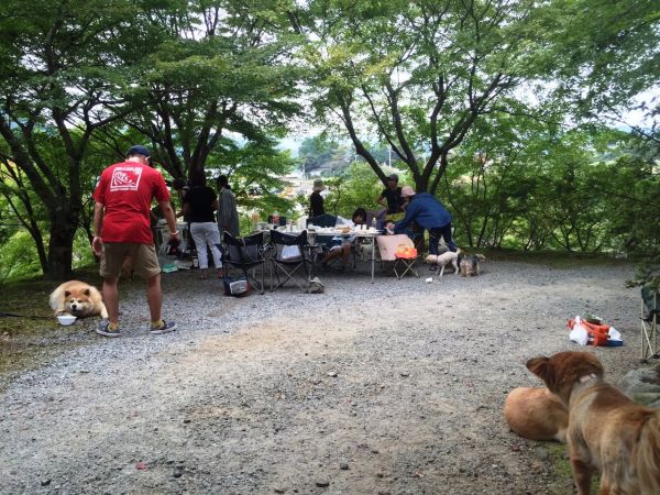白山町2