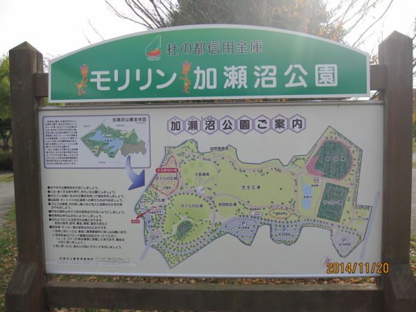 加瀬沼公園（宮城郡利府町）- 花見