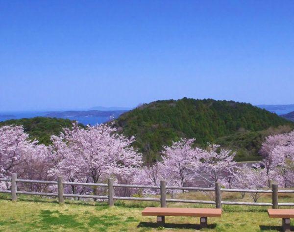 不老山総合公園（松浦市）【１０名様から】