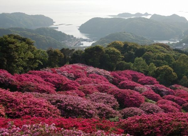 長串山公園（佐世保市）【１０名様から】【キャンプ】