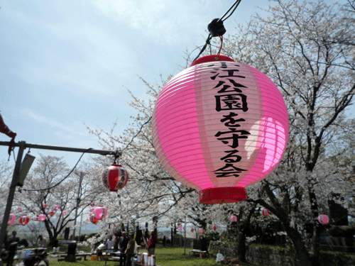 小江公園（諫早市）【４名様から】【花見】