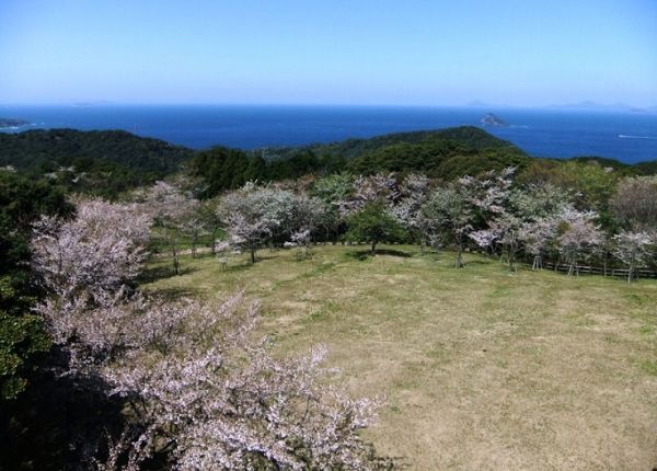 百合ヶ岳公園（西海市）【15名様から】【花見】