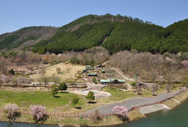 平成榛原子供のもり公園（宇陀市）-花見