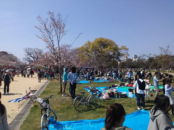 小城市　花見