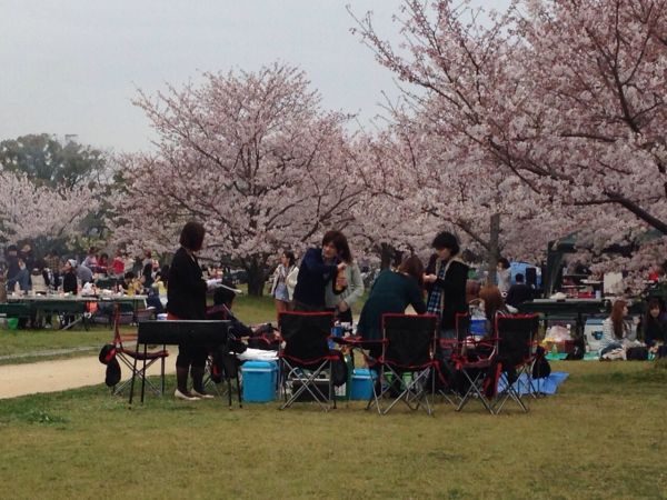 佐賀市　花見