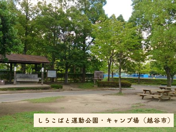 しらこばと運動公園・キャンプ場（越谷市）