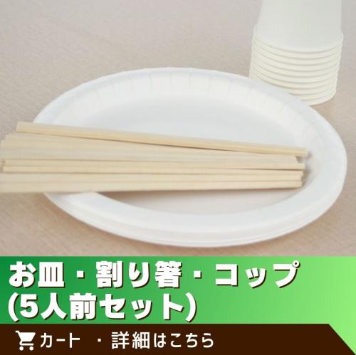 お皿・割り箸・コップ(５人前セット)/