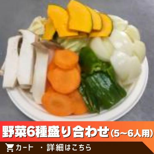 BBQ用野菜6種盛り合わせ（5人～6人用）/