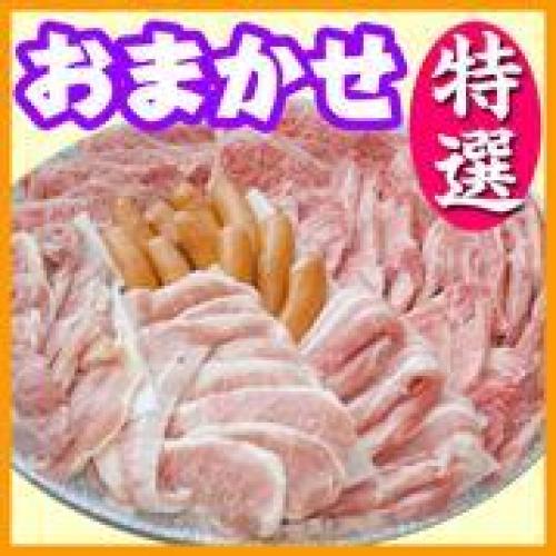 おまかせBBQ特選コース15名～29名（徳島西部）/