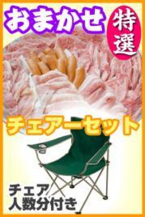おまかせBBQ特選チェアコース15名～29名（愛媛南予）/