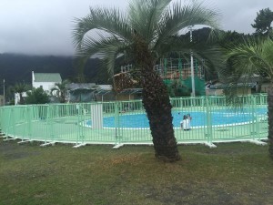 IMG_5487