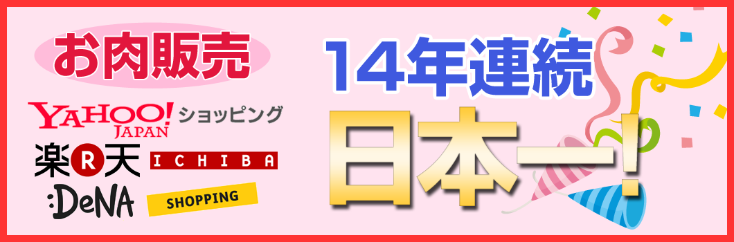 slide-14nen