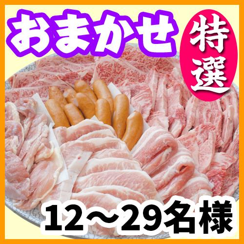 おまかせBBQ特選コース12名～29名（税別）/