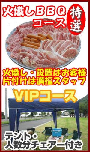 【Ｈ－39】火起し特選ＢＢＱＶＩＰプラン20名以上（お一人様4600円）/