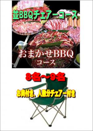 【Ｖ－14】お任せ出張片付け並BBQチェアコース8名～9名（お一人様3400円）/