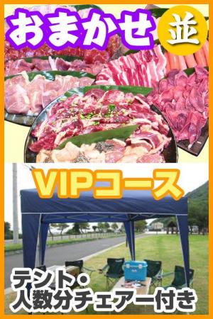 【Ｖ－31】お任せ出張片付け並BBQＶＩＰコース15名～19名（お一人様3300円）/