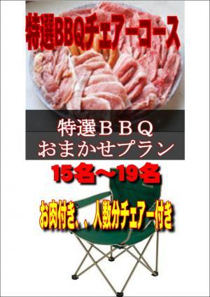 【Ｖ－26】お任せ出張片付け特選BBQチェアコース15名～19名（お一人様4550円）/