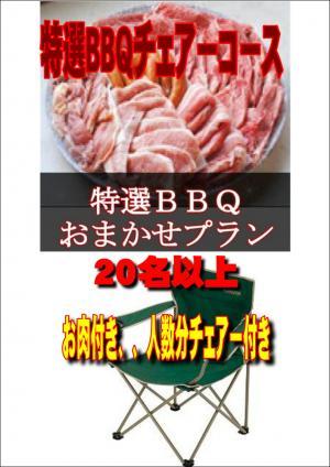【Ｖ－27】お任せ出張片付け特選BBQチェアコース20名以上（お一人様4350円）/