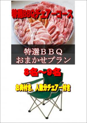 【Ｖ－24】お任せ出張片付け特選BBQチェアコース8名～9名（お一人様4950円）/