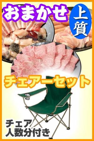 【Ｗ－17】お任せ出張片付け上質BBQチェアコース8名～9名（お一人様4500円）/