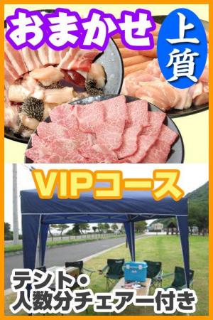 【Ｗ－31】お任せ出張片付け上質BBQＶＩＰコース8名～9名（お一人様4900円）/