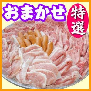 【Ｗ－12】お任せ出張片付けBBQ特選コース20名以上（お一人様4200円）/