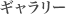 ギャラリー