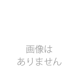 ミニベロ　※メーカー指定有
